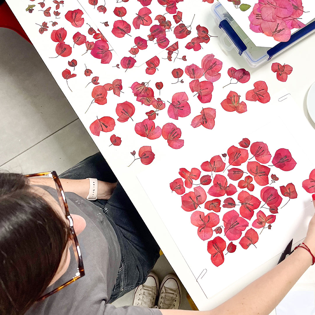 Curso: Prensado y Arte Botánico / NOVIEMBRE