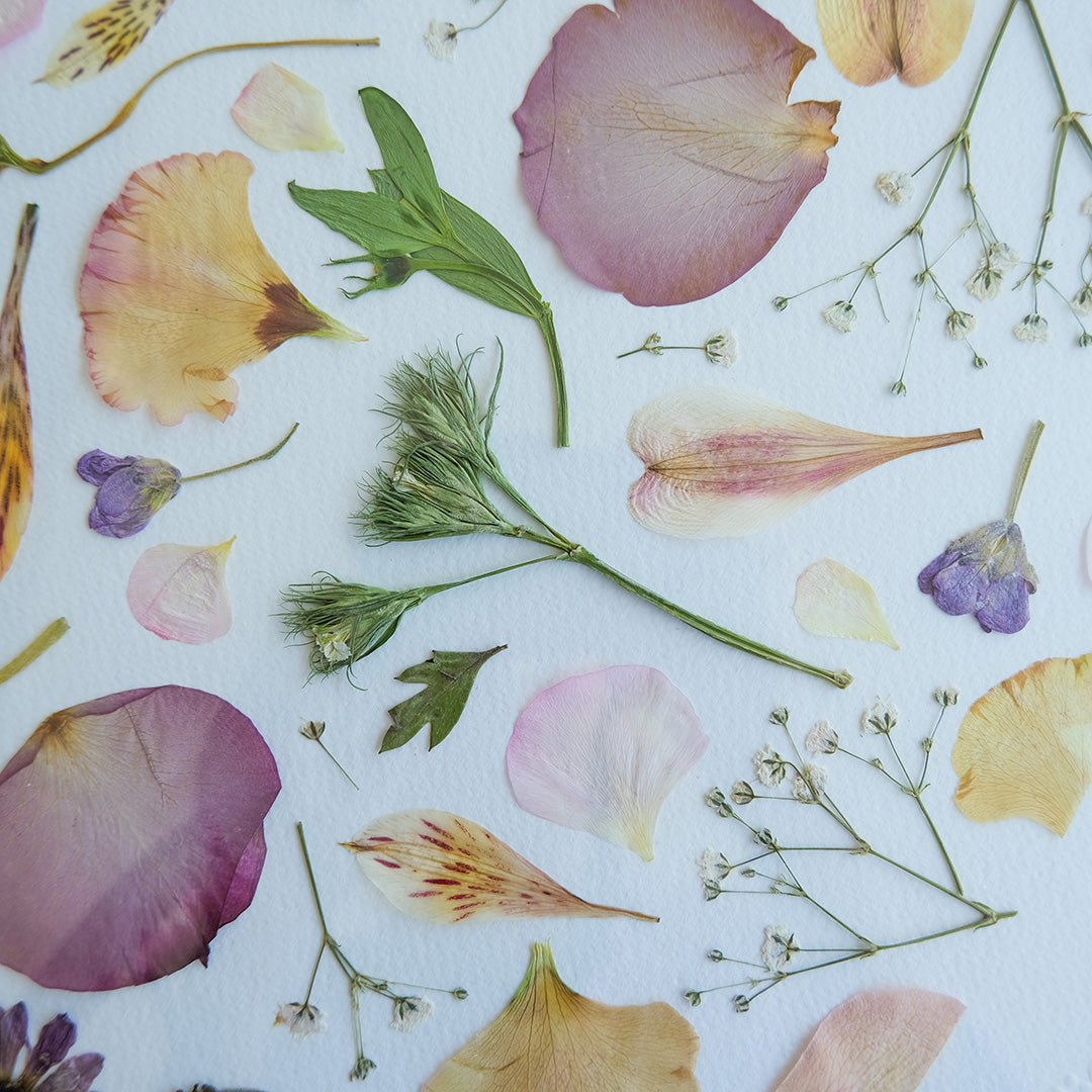 Cuadro con Flores Prensadas