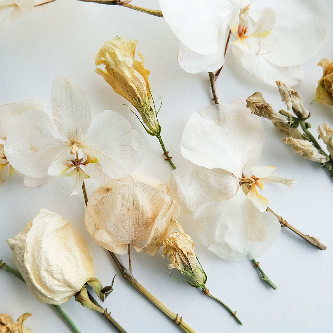 Cuadro de flores secas bordadas